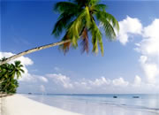 Zanzibar Beach