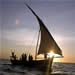 Zanzibar Diving Activities