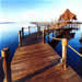 Dining & Leisure